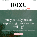 Free Bozu WordPress Theme