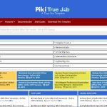 Free Piki True Job WordPress Theme