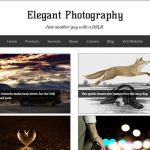 Free Elegant Photography Blogger Template
